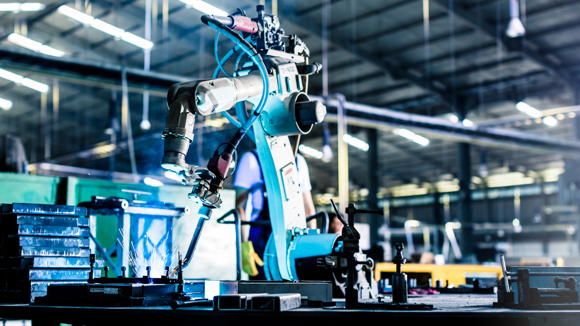 Orden secuencia y ritmo son elementos vitales en una planta